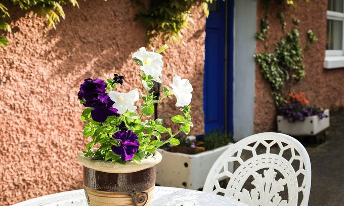 County Cavan Cottage | 2 Bedroom Cottage Wisteria Cottage in Ballyconnell