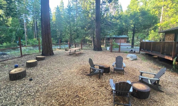 Arnold Cabin | 2 Dog Lodge · 2 Dog Lodge, 4-Season Dog Friendly Cabin + yard