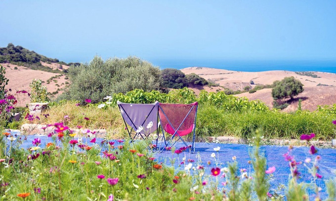 Douar Dmina House | 2 hectare estate, 25 pers, 12 bedrooms, sea view, pool, stove & cleaning