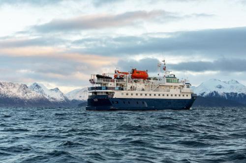 Tromso Boat Rental | 24hrs Northern Lights & Whale Watching Cruise