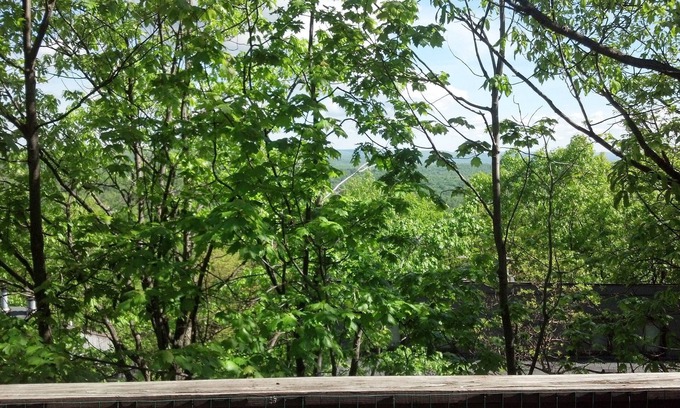 Village at Camelback House | 3 Br- Townhouse On Camelback Ski Mountain (Village At Camelback)True ski In/Out