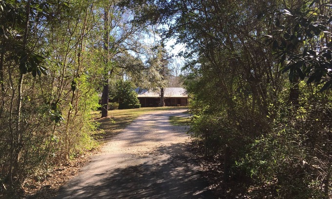 Kountze Cabin | 3 Cabins- Private, comfortable, decorated with antiques, AC & Heat, Breakfast