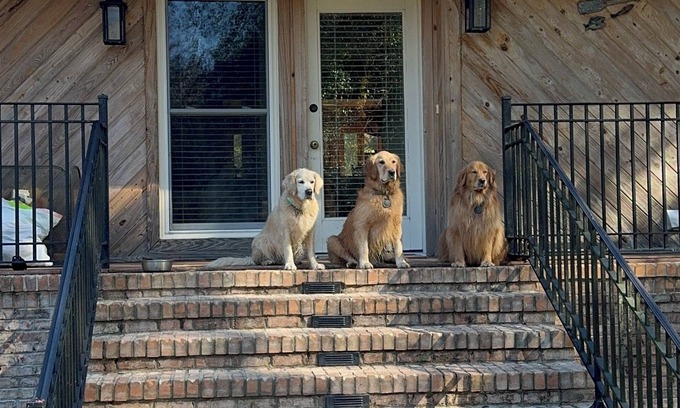 Letohatchee Other | "3 Goldens"- A Spacious farmhouse with beautiful 10 acre lake in Hope Hull, Al
