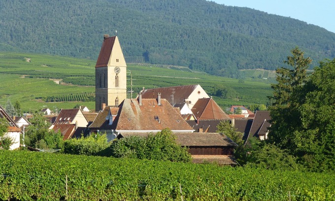 Eguisheim Apartment | 3-room apartment for 2/5 people on the edge of a vineyard