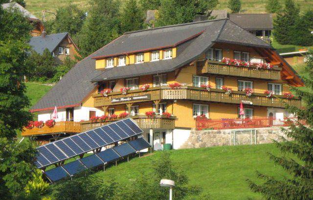 Todtnau Apartment | 35 m² Apartment ∙ 1 bedroom ∙ 3 guests