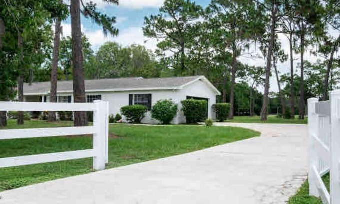 Greater Northdale House | 3bdr2bath home in Lutz close to Tampa, 20 min to Stadium, Airport