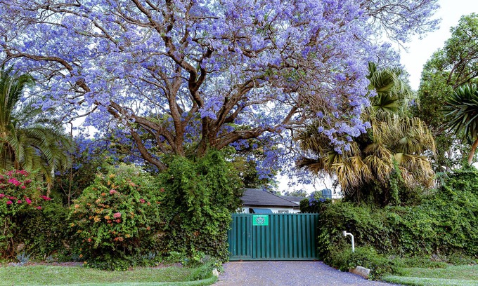 Harare House | 3BR Vacation Home Amidst Lush Garden. Perfect for family.