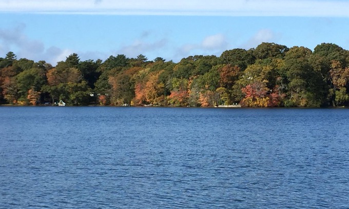 Cedar Bushes House | 4+ Acre Pond Front Retreat, Basketball Court
