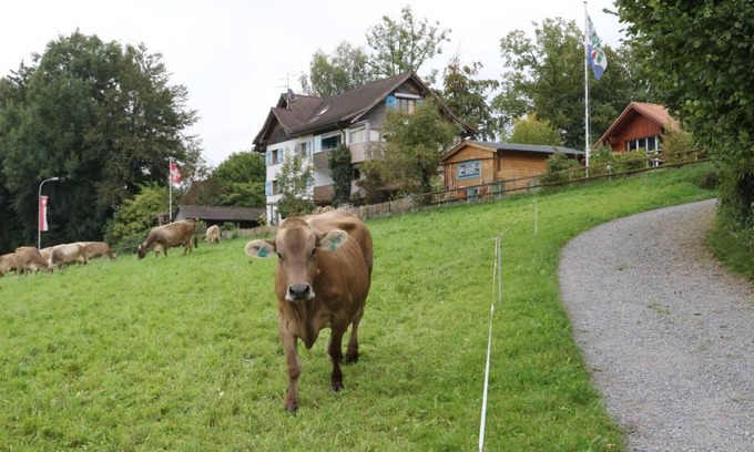 Egnach Apartment | 40 m² Apartment ∙ 1 bedroom ∙ 3 guests