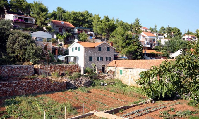 Cove Basina (Jelsa) Apartment | 40 m² Apartment ∙ 1 bedroom ∙ 2 guests