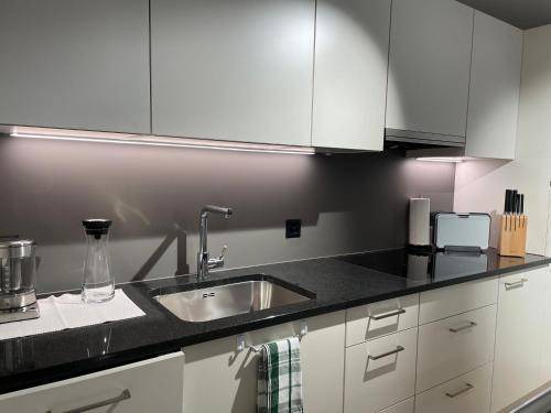 Uster District Apartment | 40 m² Apartment ∙ 1 bedroom ∙ 4 guests