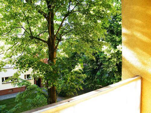 Grunwald Apartment | 45 m² Apartment ∙ 2 bedrooms ∙ 8 guests