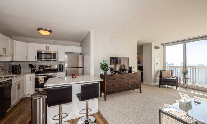 Downtown Chicago Apartment | 50th Floor Mag Mile VIEWS, Balcony, Pool, Gym