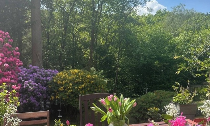 Hindhead House | 5BD House in the Forest