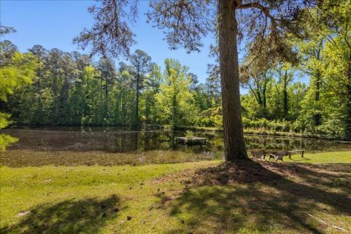 North Augusta House | 5BR Woodland Retreat on 7 Acres with a Pond