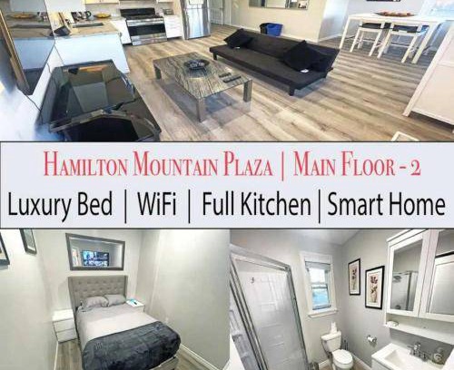 Hamilton Apartment | 60 m² Apartment ∙ 1 bedroom ∙ 3 guests