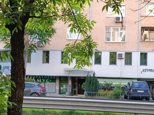Sofia Apartment | 80 m² Apartment ∙ 1 bedroom ∙ 4 guests