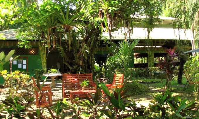 Puerto Jimenez Resort | A 4-acre, family and group friendly retreat venue in the heart of Puerto Jimenez