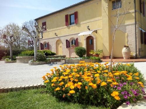 Porto Potenza Picena Bed & Breakfast | A Casa Di Pici