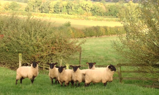 East Haddon Cottage | A delightful cottage in Northamptonshire - the heart of the shires.