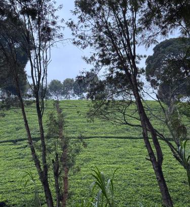 Limuru Ski Chalet | A little bit of heaven in TIGONi