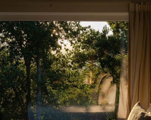 Cinfaes Bed & Breakfast | A Padaria Farmhouse