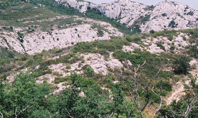 Peypin Villa | A villa in the heart of nature