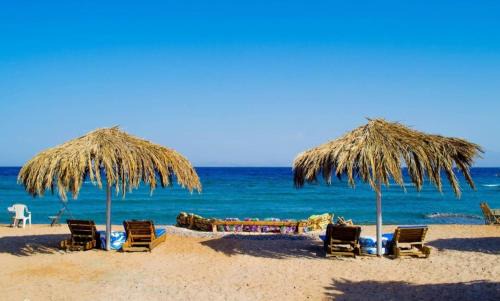 Nuweiba Hotel | ACACIA Camp
