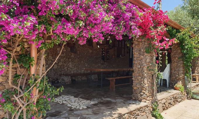 Borore Bed & Breakfast | Accogliente affittacamere