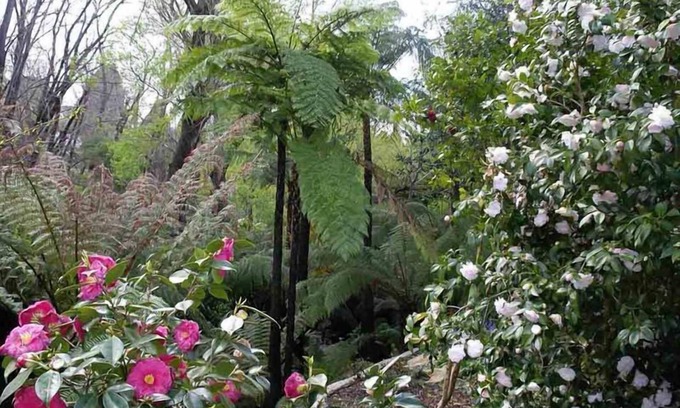 Stirling Bed & Breakfast | Adelaide Hills Bed and Breakfast