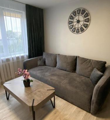 Panevezys Apartment | ADI Apartamentai