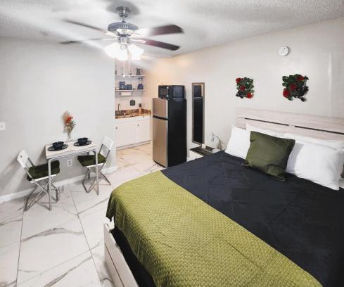 Lake Magdalene Apartment | Adorable Mini Suite in Tampa