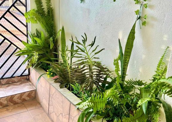 Macapa Apartment | Aeroporto House