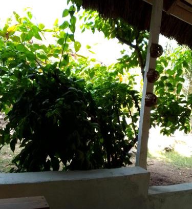 Kokrobite Resort | African Treasure kokrobite
