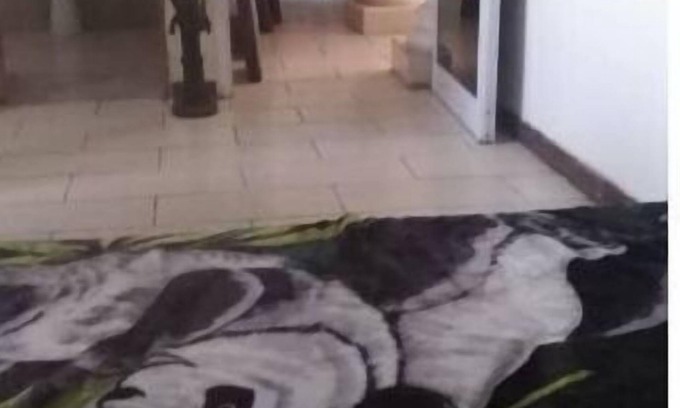 Ogbodjo Apartment | Africana - East Legon