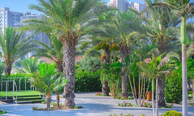 Ashkelon Hotel | Agamim Hotel