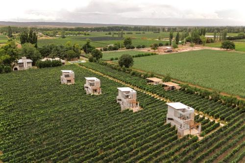 Lujan de Cuyo Hotel | Agrelo Vines Lodge