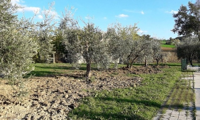 Fossombrone Other | Agriturismo El Gatarel