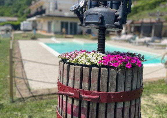 Sciolze House | Agriturismo Ippocastano