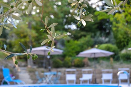Fornole Apartment | Agriturismo L'Arte del Verde