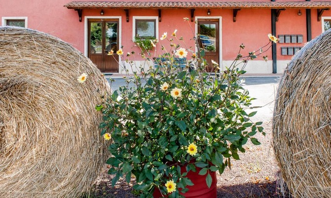 Guidonia Montecelio House | Agriturismo La Meridiana