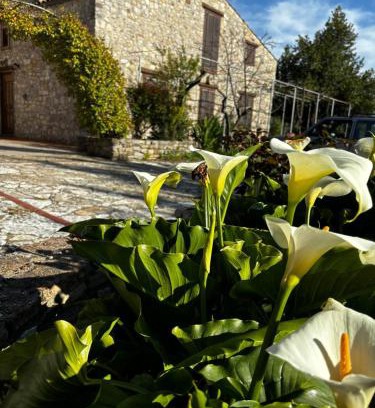 Polizzi Generosa House | Agriturismo Santa Venera