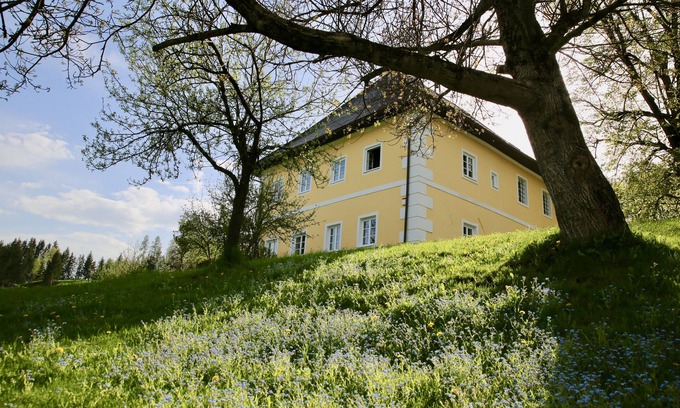 Gloednitz Other | Aichhof Castle, 800 years old, luxury on 400,000m2