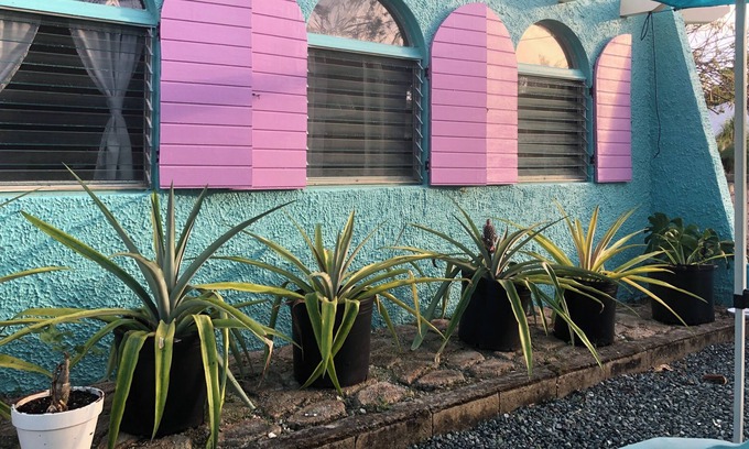 Estate Southgate Apartment | Airy Carribean Big 2 Bedroom