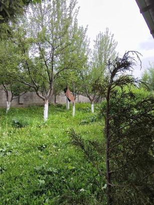 Chuy Province Bed & Breakfast | Akjol guest house