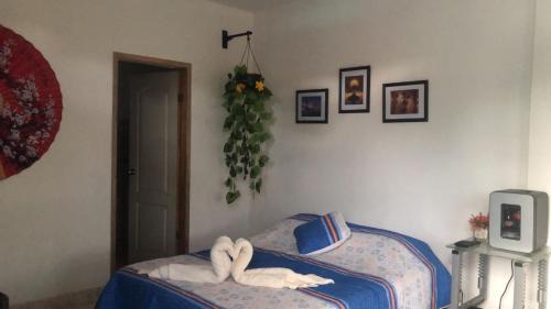 Palmira Hotel | Akoya Meraki Casa Hotel