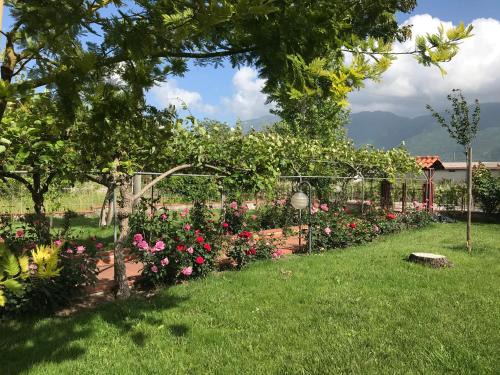 Telese House | Alma Migrante bed&wine