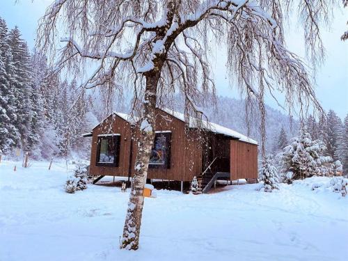 Unken Ski Chalet | Almliesl UNKE-684