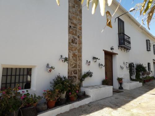Torredonjimeno House | Alojamiento Rural Las Viñas