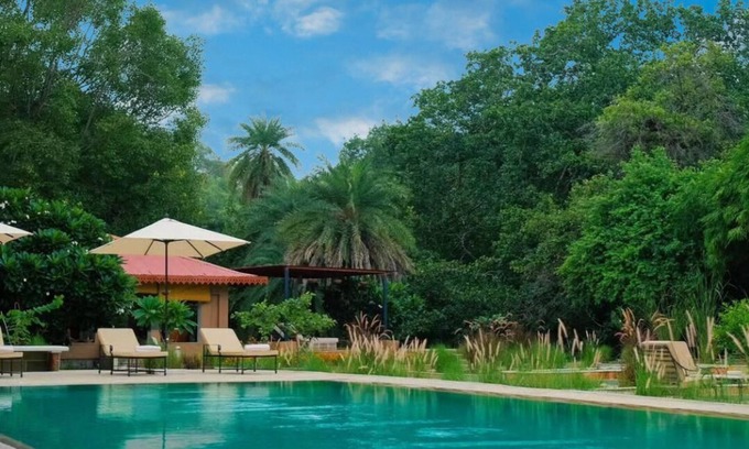 Ghanerao Hotel | Aloof The Jungle Lodge Ghanerao